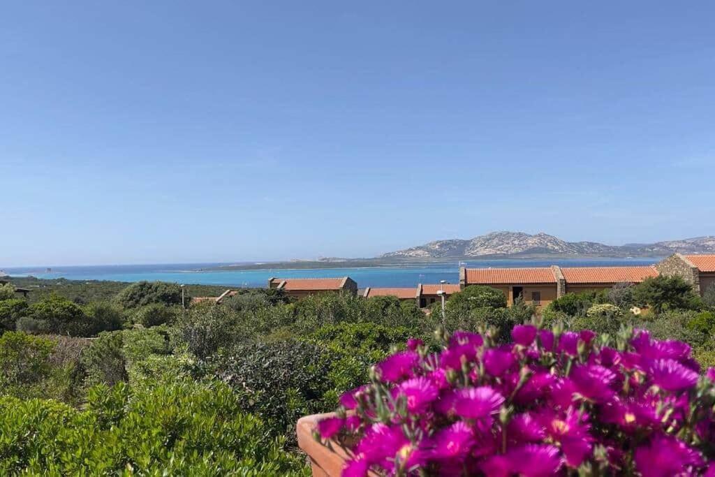 Apartament Terrazza Vista Mare Stintino Zewnętrze zdjęcie